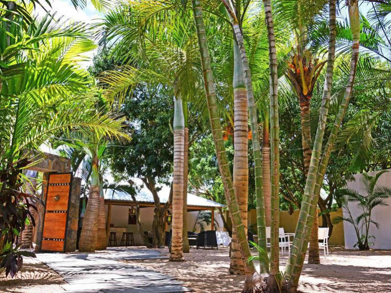 La Margarita Pointe aux Piments Exterior foto