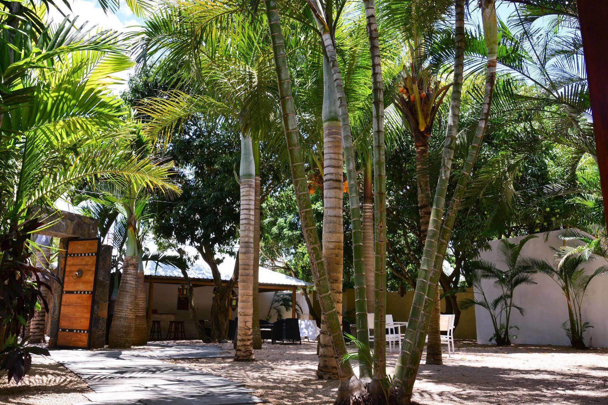 La Margarita Pointe aux Piments Exterior foto